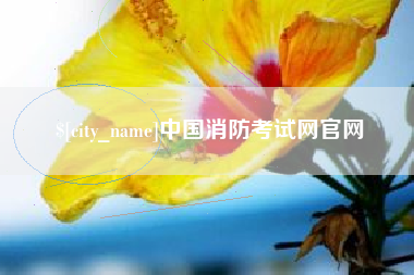 柳州中国消防考试网官网