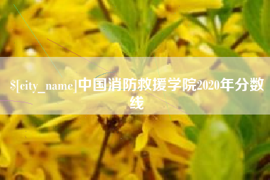 柳州中国消防救援学院2020年分数线