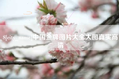 柳州中国金牌图片大全大图真实高清
