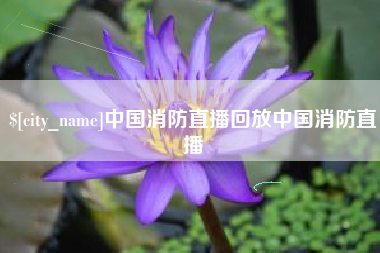柳州中国消防直播回放中国消防直播