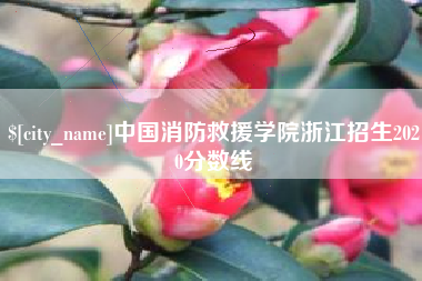 柳州中国消防救援学院浙江招生2020分数线