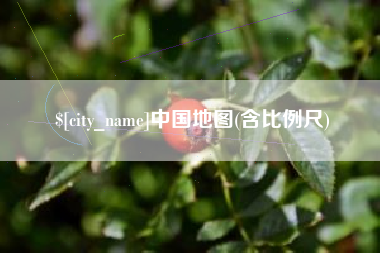 柳州中国地图(含比例尺)