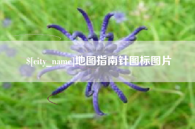 柳州地图指南针图标图片