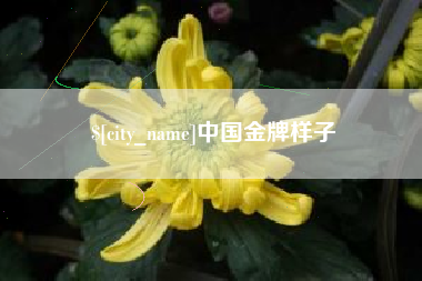 柳州中国金牌样子