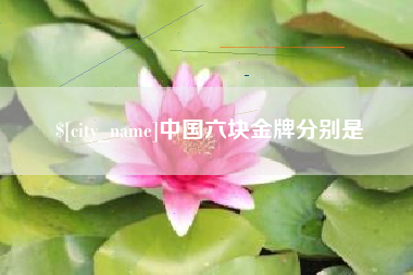 柳州中国六块金牌分别是