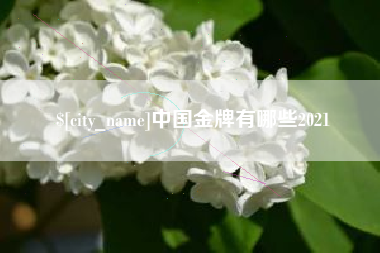 柳州中国金牌有哪些2021
