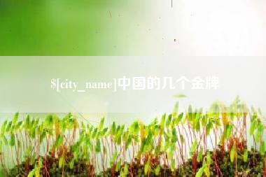 柳州中国的几个金牌