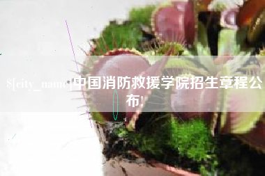 柳州中国消防救援学院招生章程公布!