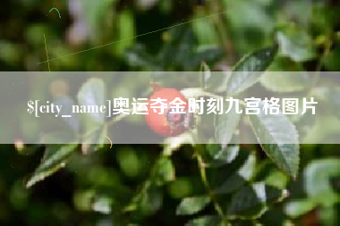 柳州奥运夺金时刻九宫格图片