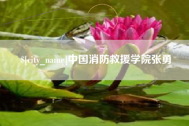 柳州中国消防救援学院张勇