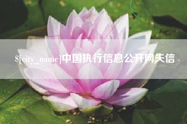 柳州中国执行信息公开网失信
