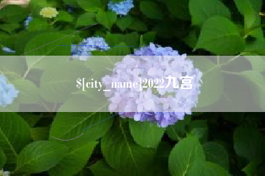 柳州2022九宫
