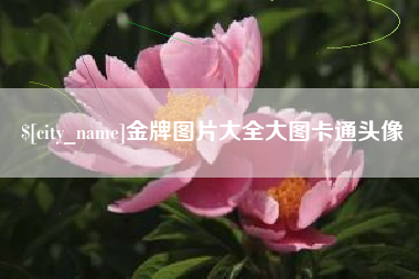 柳州金牌图片大全大图卡通头像