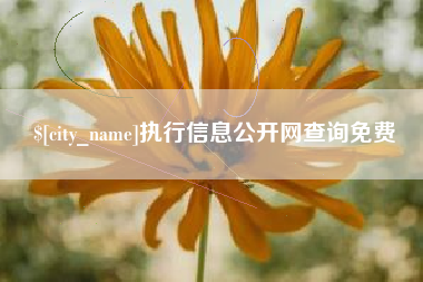 柳州执行信息公开网查询免费