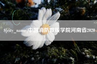 柳州中国消防救援学院河南省2020